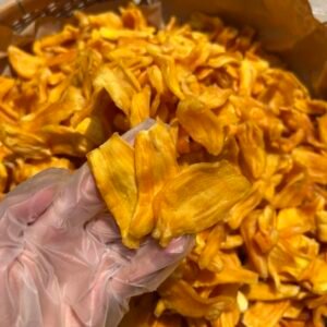 Close-up of Vietnamese Soft Dried Jackfruit with no added sugar showing soft chewy texture and natural fruit color