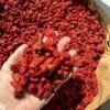 Vietnamese Unsweetened Dried Strawberries 300g