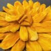 Vietnamese Soft Dried Mango Close Up