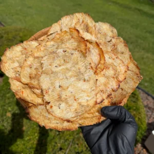 Vietnamese Leatherjacket Fish Jerky