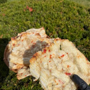 Close-up of Vietnamese Seasoned Dried Threadfin Fish showing tender chewy texture and authentic seasoning