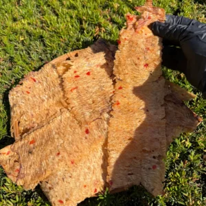 Close-up of Vietnamese Seasoned Pressed Dried Squid showing its chewy texture and savory seasoning