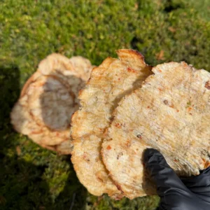 Close-up of Vietnamese Seasoned Leatherjacket Fish Jerky showing tender chewy texture and authentic Vietnamese seasoning