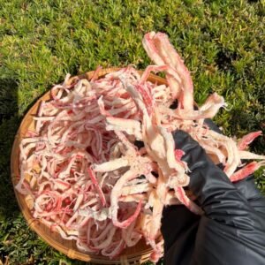Vietnamese Shredded Squid Steamed with Coconut Water Seafood Snack 200g