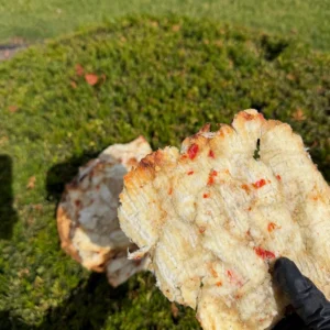 Close-up of Vietnamese Seasoned Dried Threadfin Fish showing tender chewy texture and authentic seasoning