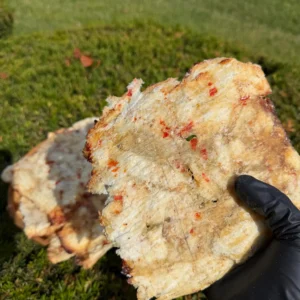 Close-up of Vietnamese Seasoned Dried Threadfin Fish showing tender chewy texture and authentic seasoning