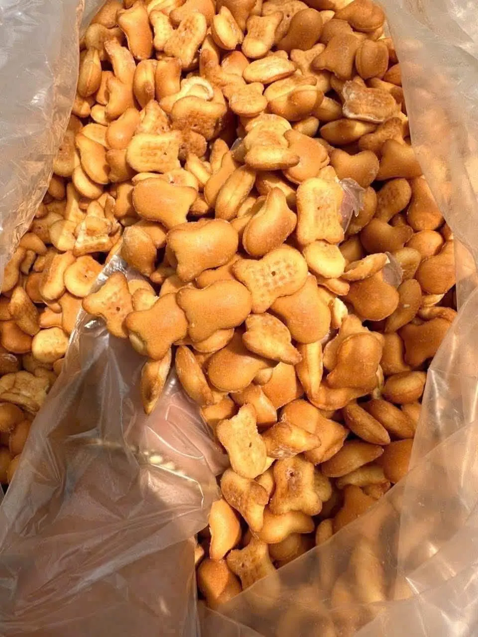 Vietnamese Bear Cream Cookies 300g Crispy Sweet Cream Biscuits