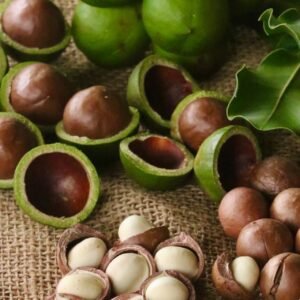 Fresh Macadamia Fruit and Vietnamese Macadamia Nut Kernels