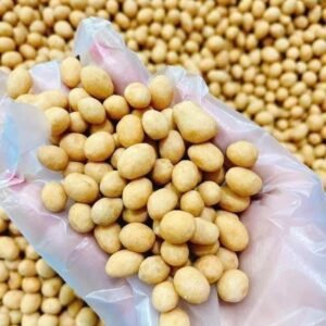 Close-up of Vietnamese Coconut Coated Peanuts 300g